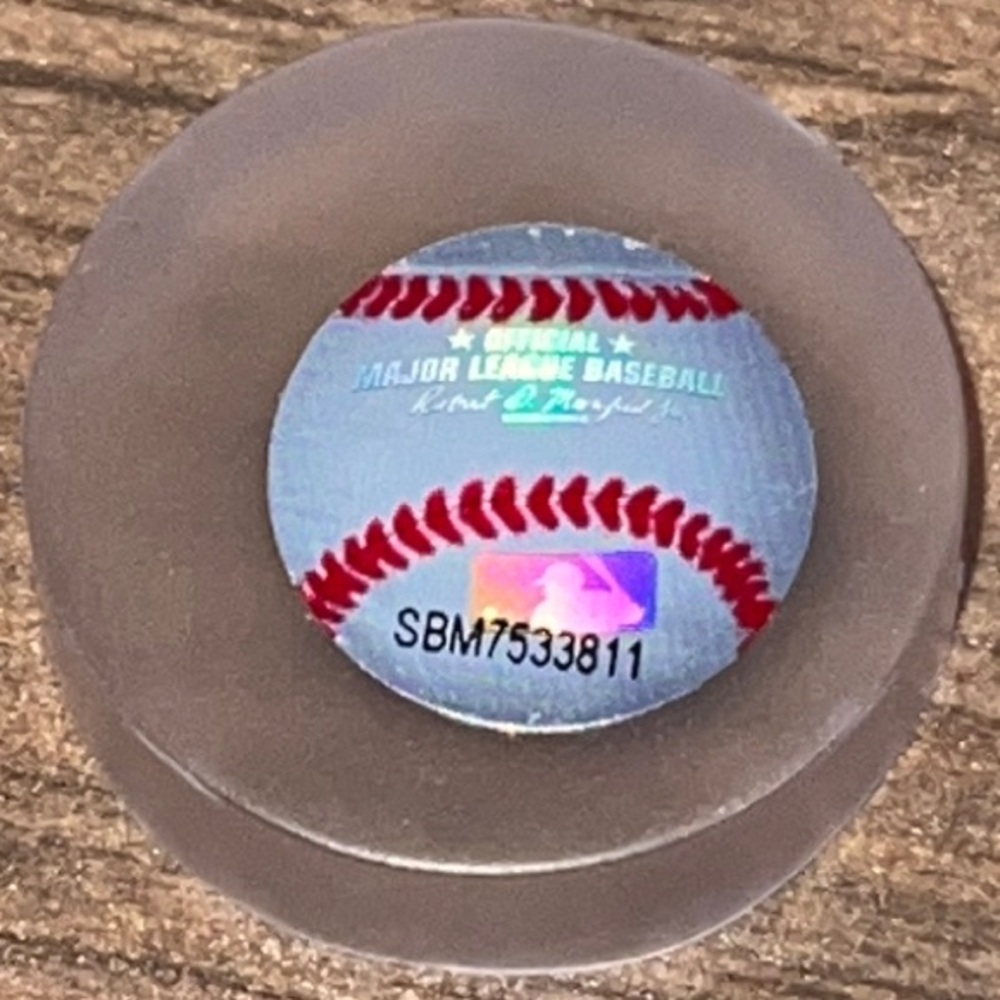Florida Marlins Commemorative 2003 World Series Champions Ring - Picture 8 of 11